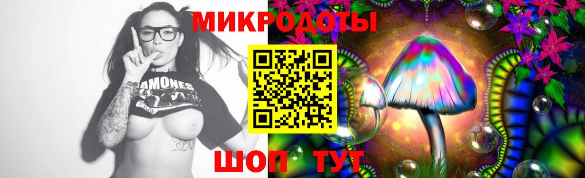 Галлюциногенные грибы Psilocybine cubensis Хабаровск